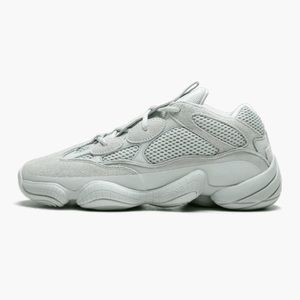 Dead Stock Adidas Yeezy 500 salt